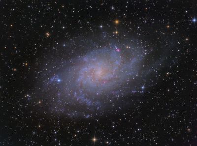 M33