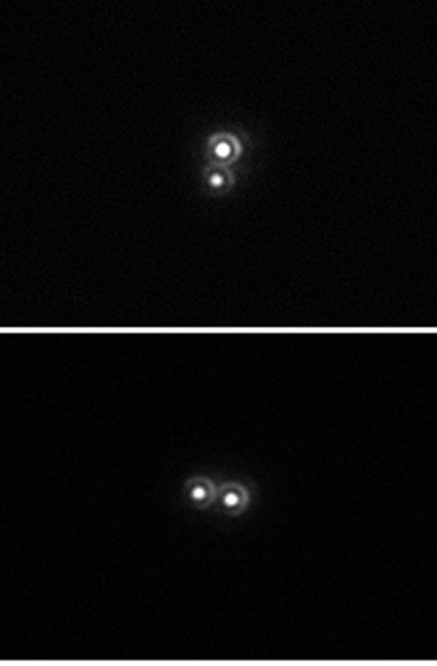 Эпсилон Лиры 1 и 2 (двойные)
