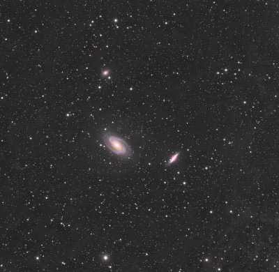 M 81