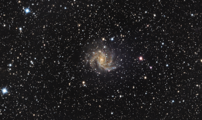 NGC 6946