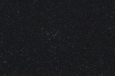 Волосы Вероники