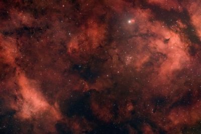 Садр и сотоварищи