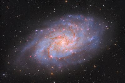 M33