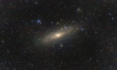 m31