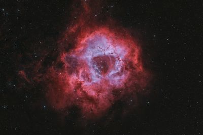 Туманность Розетка