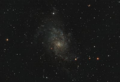 M33