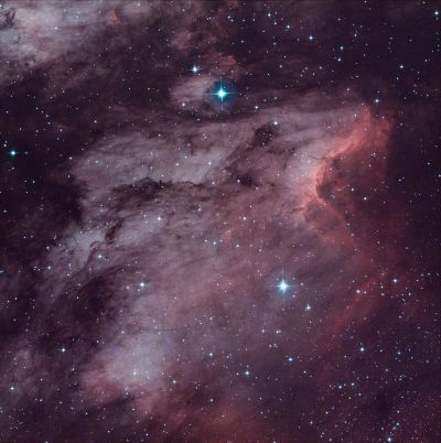 Pelican Nebula