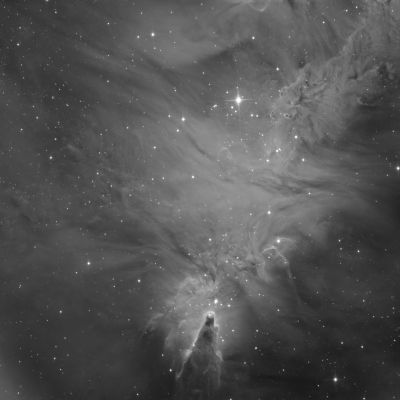 Лисий мех и Шишка