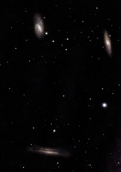 Триплет Льва