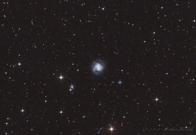 M61