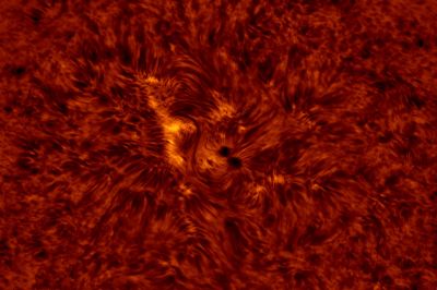 2020.08.10 Sun AR12770 H-Alpha (color)