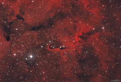 IC 1396 "Хобот слона"