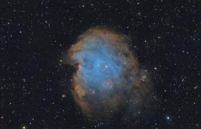 NGC 2174 Monkey Head nebula