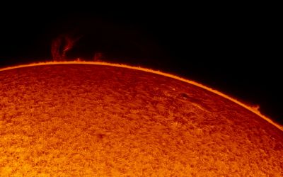 2019.05.18 Sun AR12741 H-Alpha