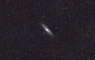M31