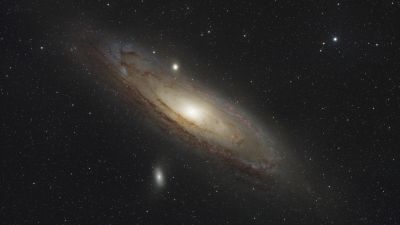 M31