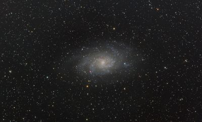 M33