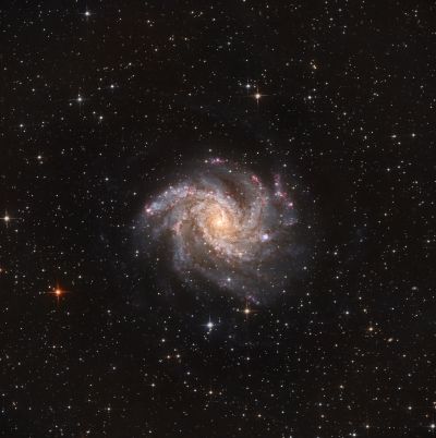 Галактика NGC6946 Фейерверк