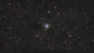 NGC 7023 Iris