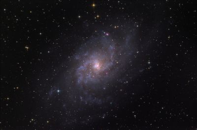 M33