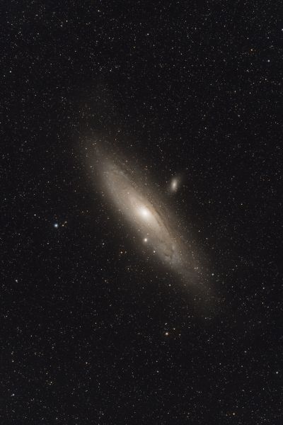 M31