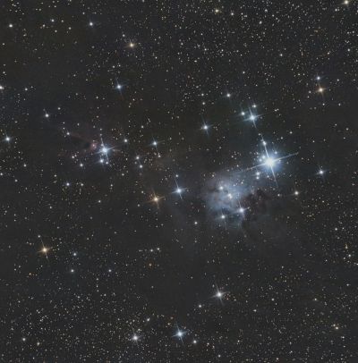 Рождественская ёлка (NGC 2264)