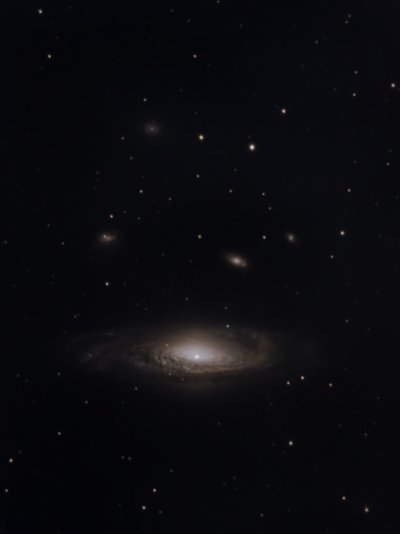 Солончаковая группа