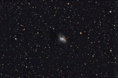 M 1 Crab Nebula. 18.03.2026 - Astrophotography