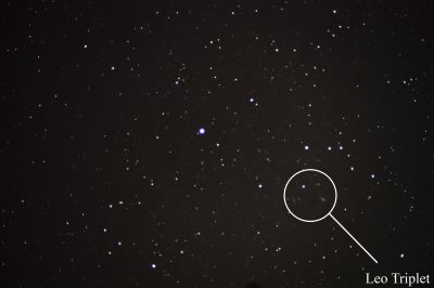 Мини Триплет Льва