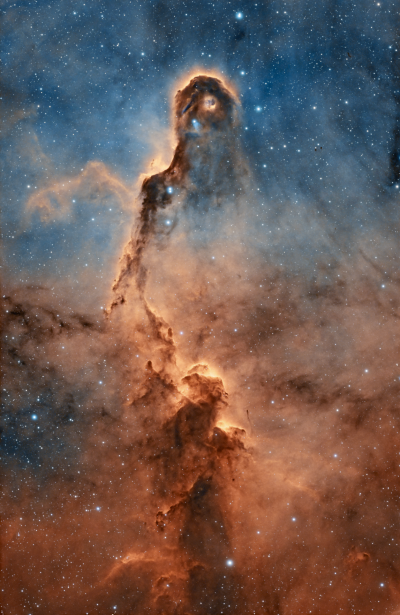 Elephant's Trunk Nebula