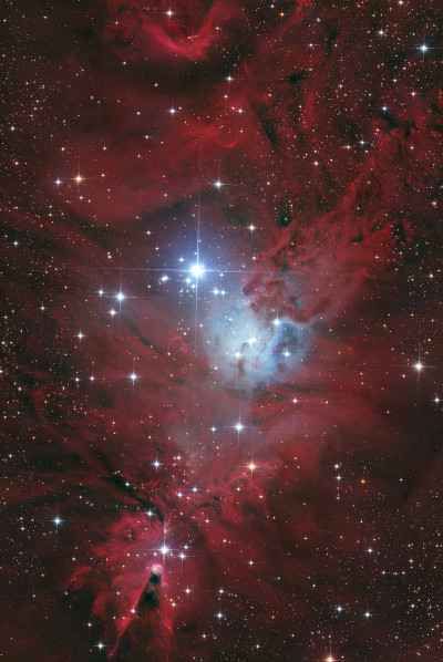 Новогодняя ёлка