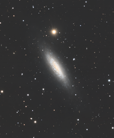 NGC6503