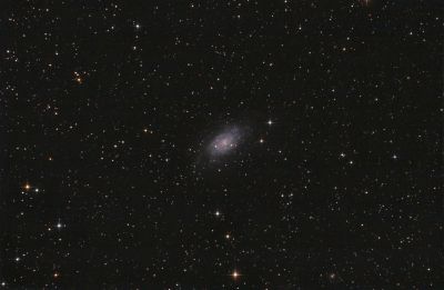 NGC 2403