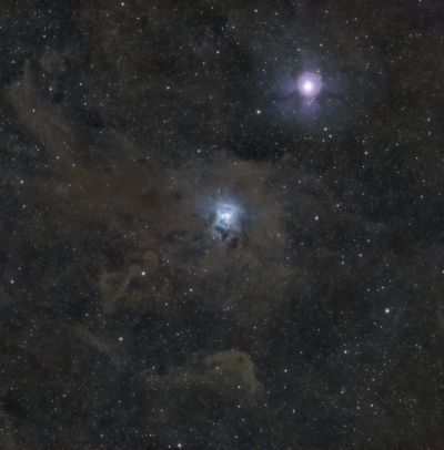 NGC 7023 Iris Nebula