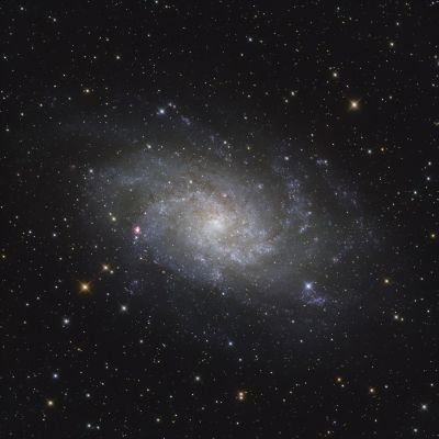 M33