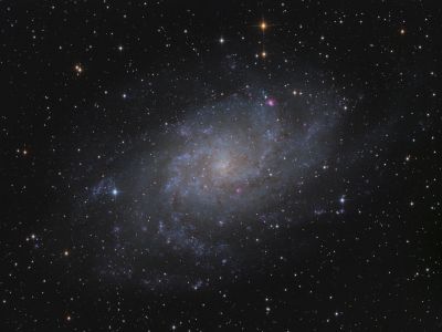 M33