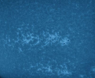 Активный регион 3029 в CaK