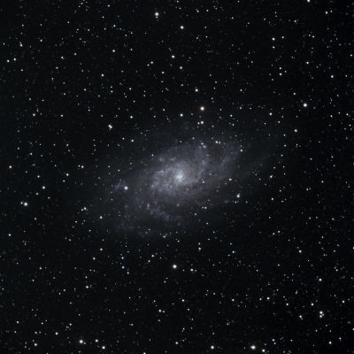 M33 (NGC 598)