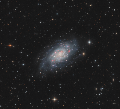 NGC 2403