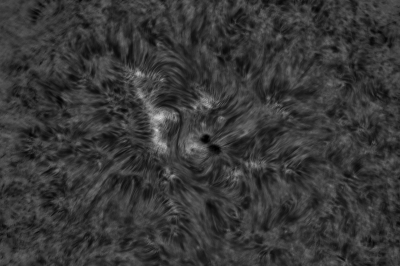 2020.08.10 Sun AR12770 H-Alpha