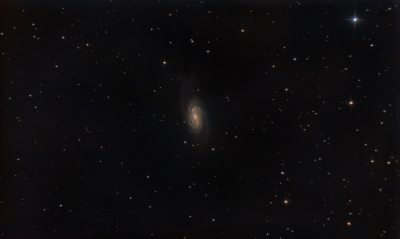 NGC2903 Galaxy
