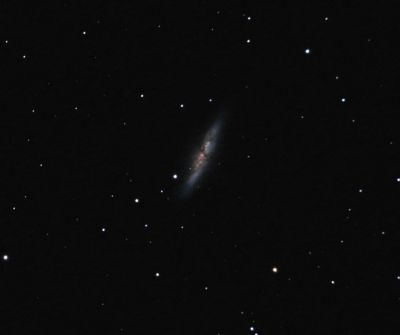 M82