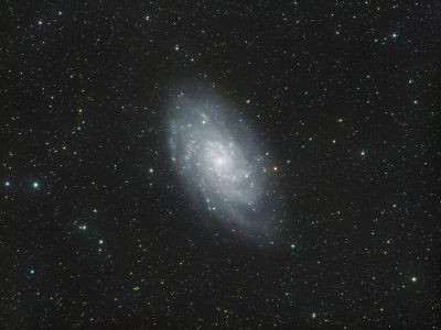 M33