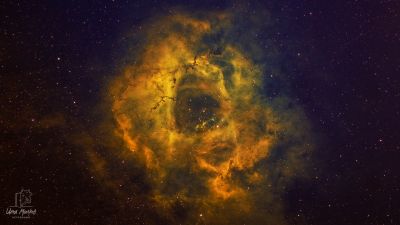 Туманность "Розетка" NGC2237