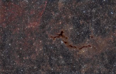 Seahorse Nebula