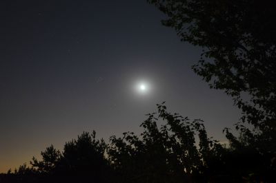 Ночной квартет