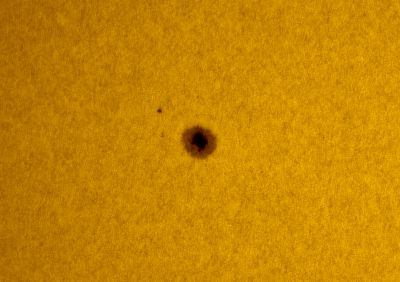 Солнце. Группа пятен: 2893 05.11.21