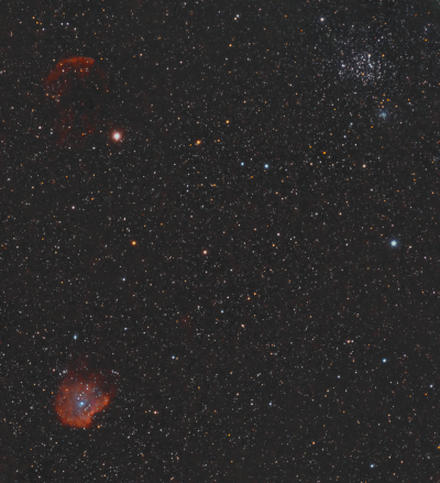 Голова обезьяны и др. в Близнецах