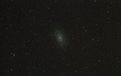 M33