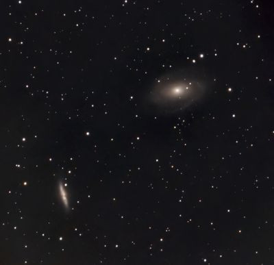 M 81 (NGC 3031) + M 82 (NGC 3034) - Astrophotography